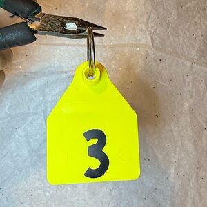 Yellow Cow Tag #3 Keychain